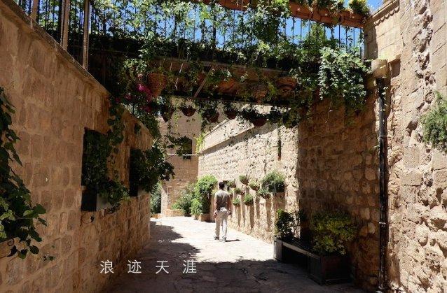 彩色夏天
